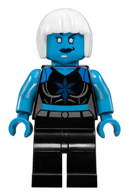 Killer Frost (sh0472)