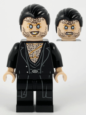 Fenrir Greyback - Black Hair (hp209)