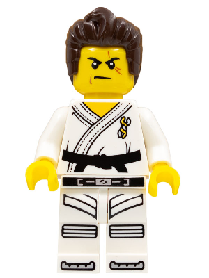 Warrior - Male, Karate Dress with Black Belt, Dark Brown Hair, Scarred Eye (col262)