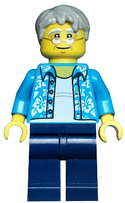 Beachgoer - Gray Male Hair, Glasses and Hawaiian Shirt (cty0762)