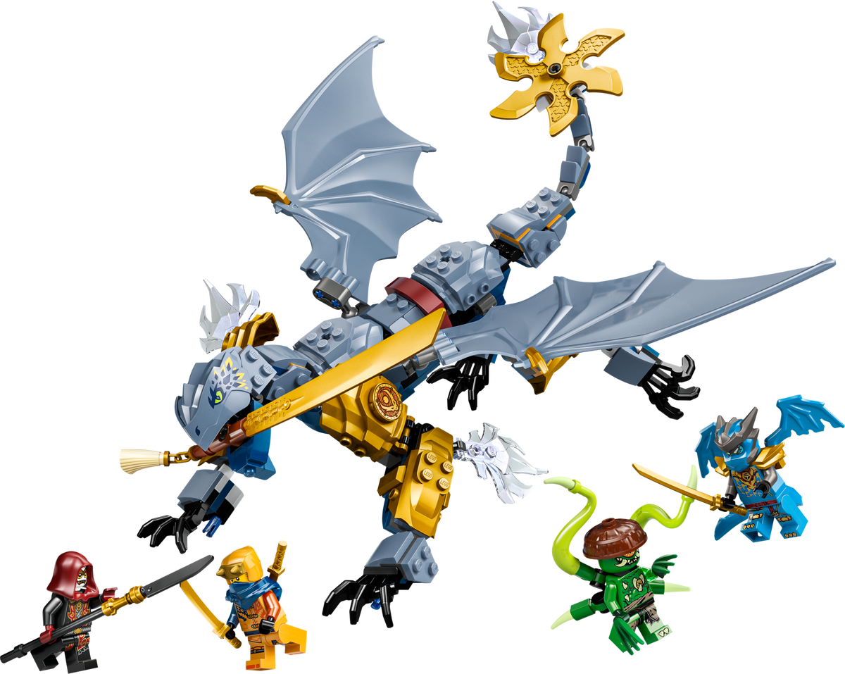 71855 Ninja Dragon Riyu's Battle (Retired) LEGO Ninjago