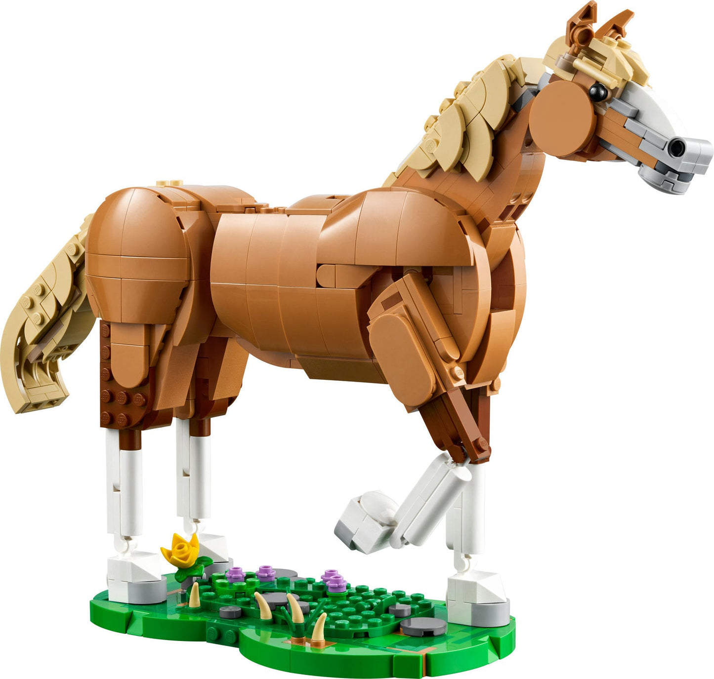 31166 Beautiful Horse