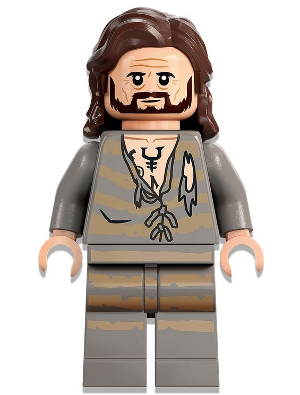 Sirius Black - Dark Brown Hair, Light Bluish Gray Tattered Striped Shirt (hp345)