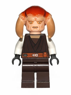 Saesee Tiin - Dark Brown Robe, White Arms, Large Eyes (sw0308)