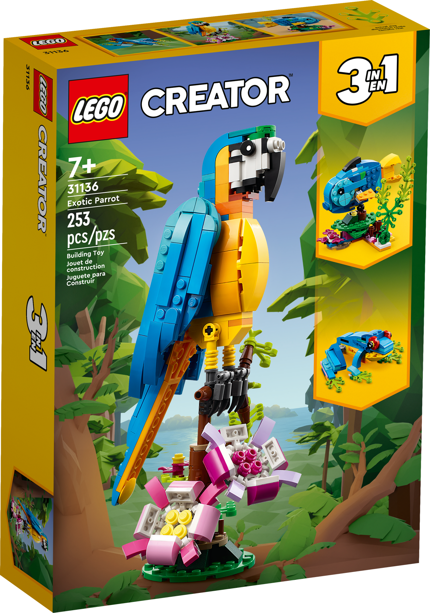 31136 Exotic Parrot