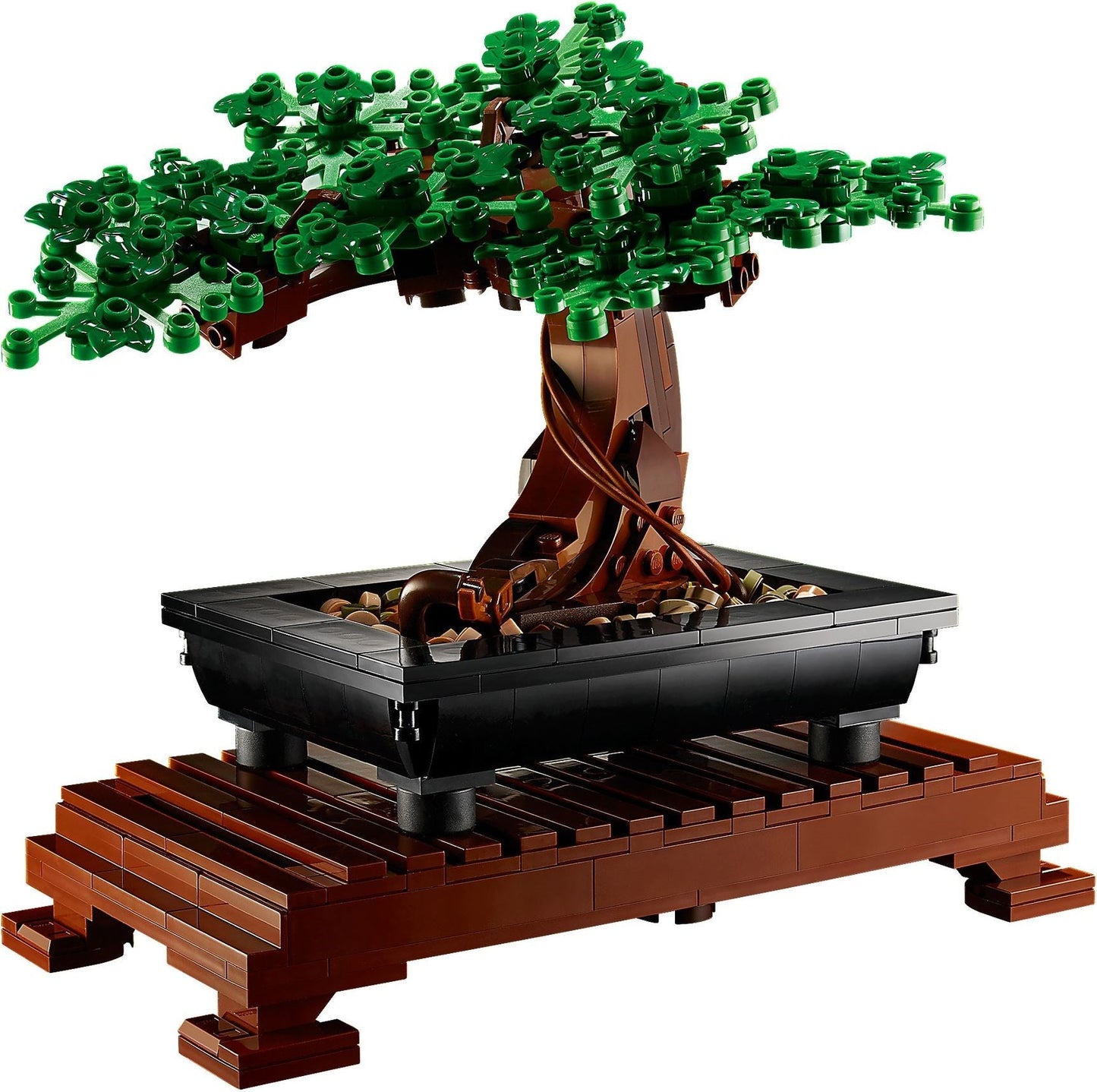 10281 Bonsai Tree