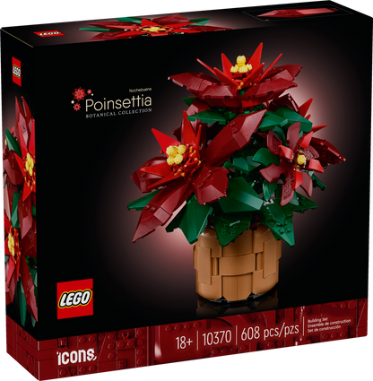 10370 Poinsettia Plant