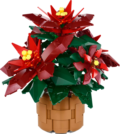 10370 Poinsettia Plant