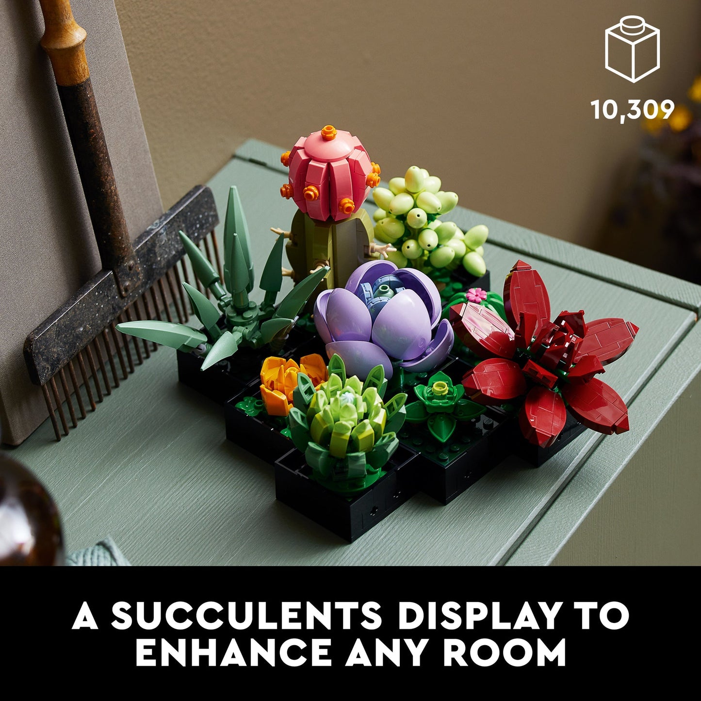 10309 Succulents