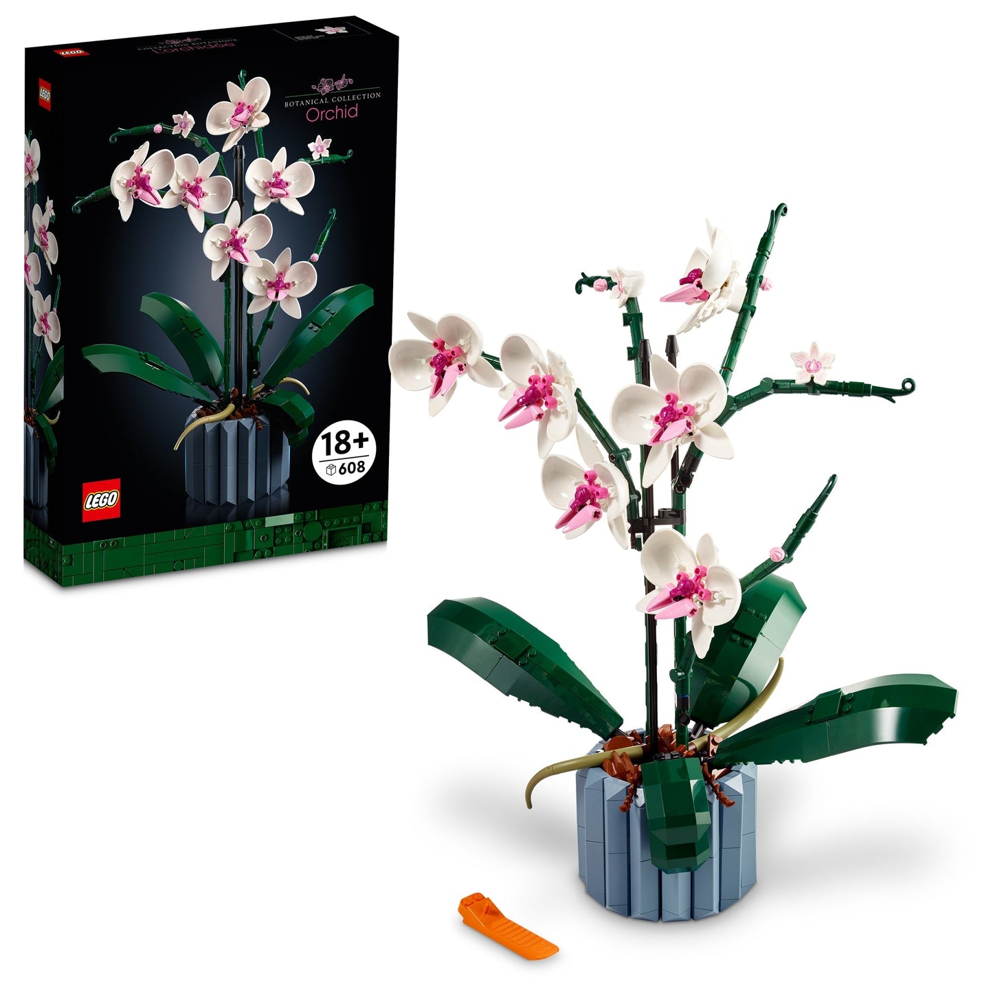 10311 Orchid