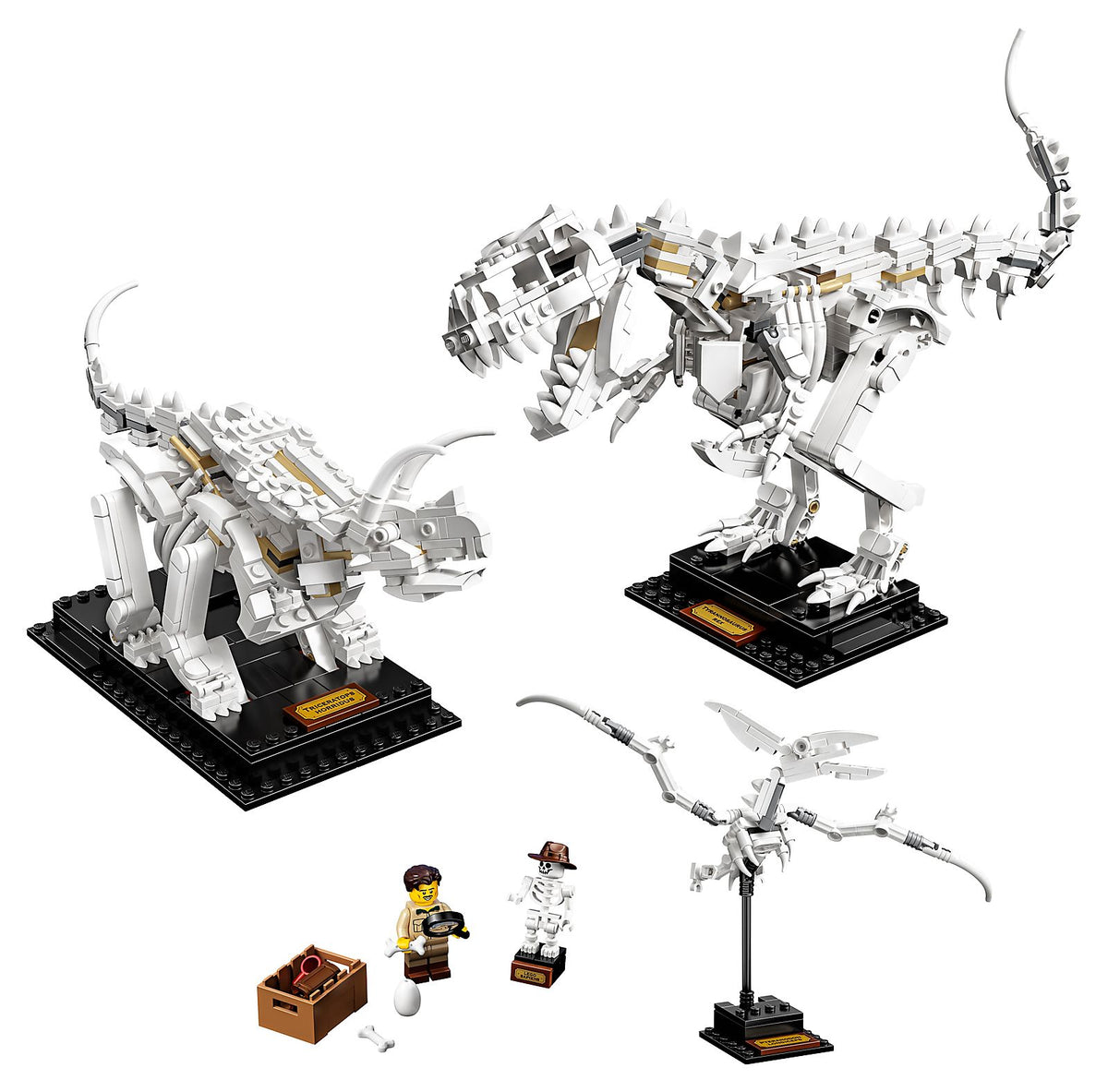 21320 Dinosaur Fossils (Used) LEGO Ideas