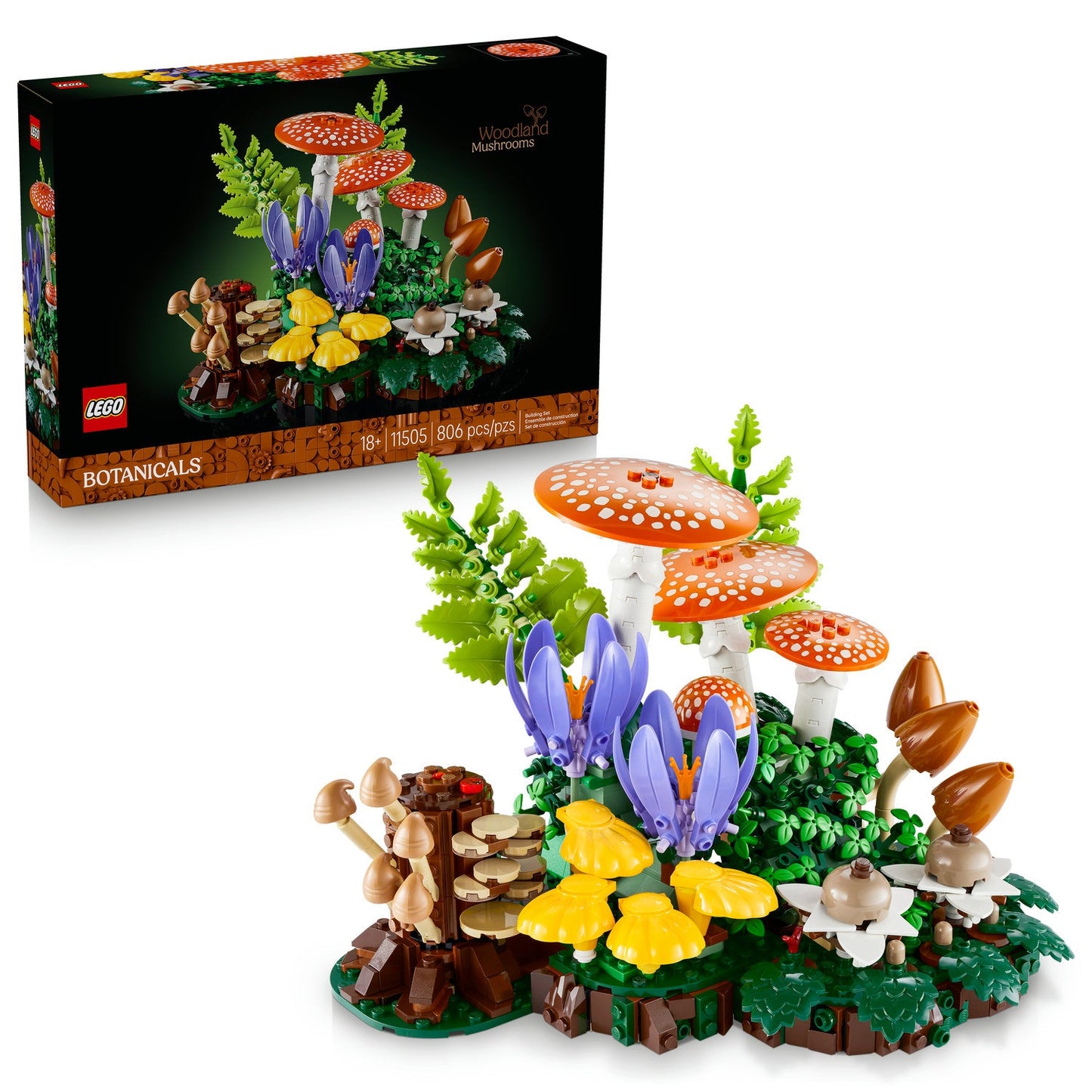 11505 Woodland Mushrooms