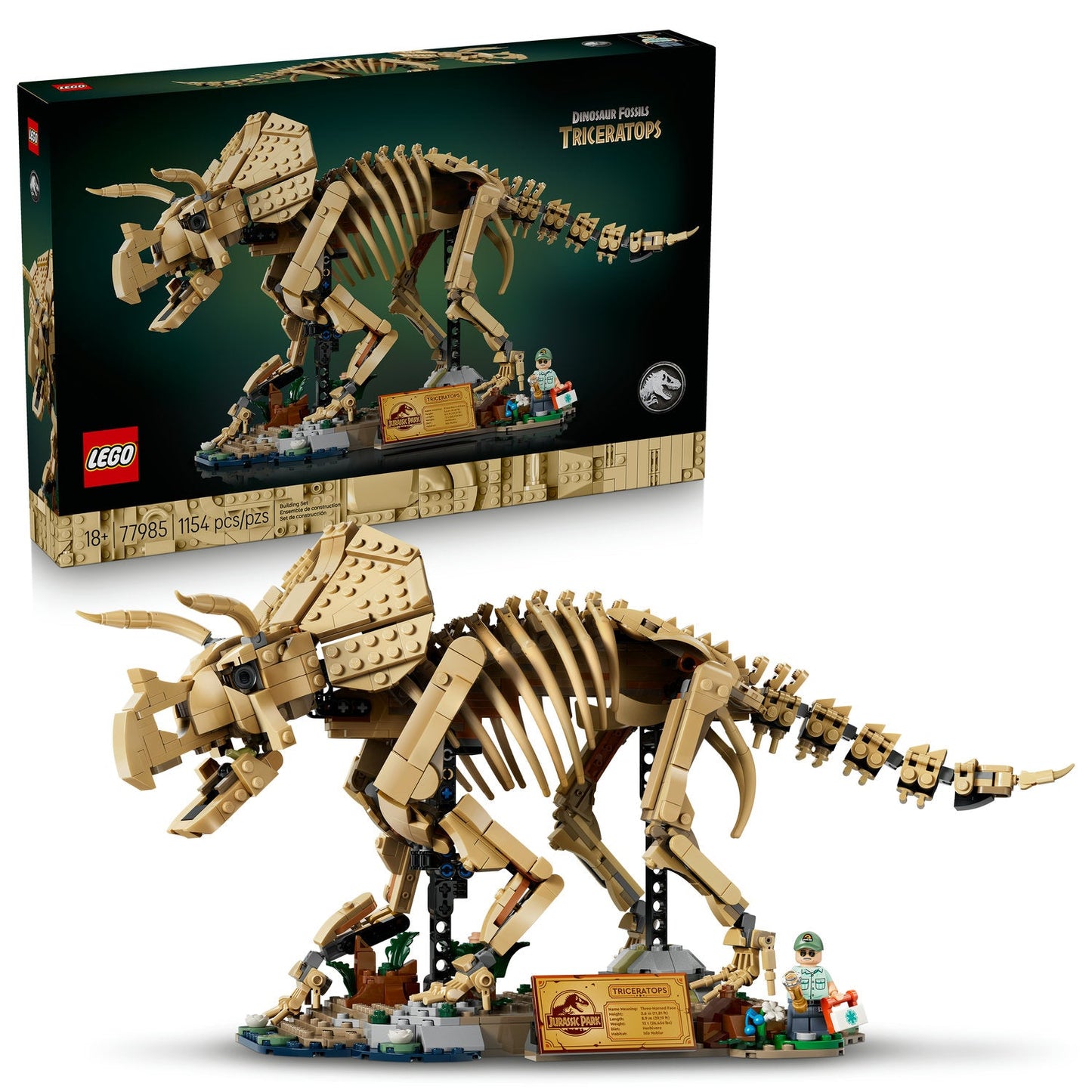 77985 Dinosaur Fossils: Triceratops