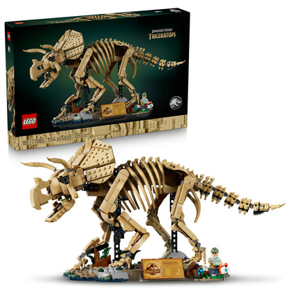 77985 Dinosaur Fossils: Triceratops