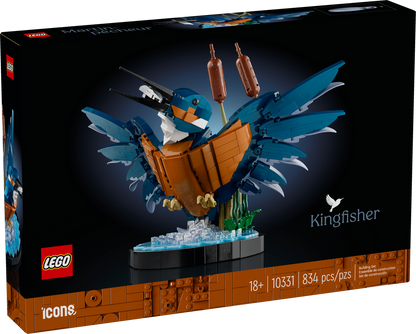 10331 Kingfisher Bird