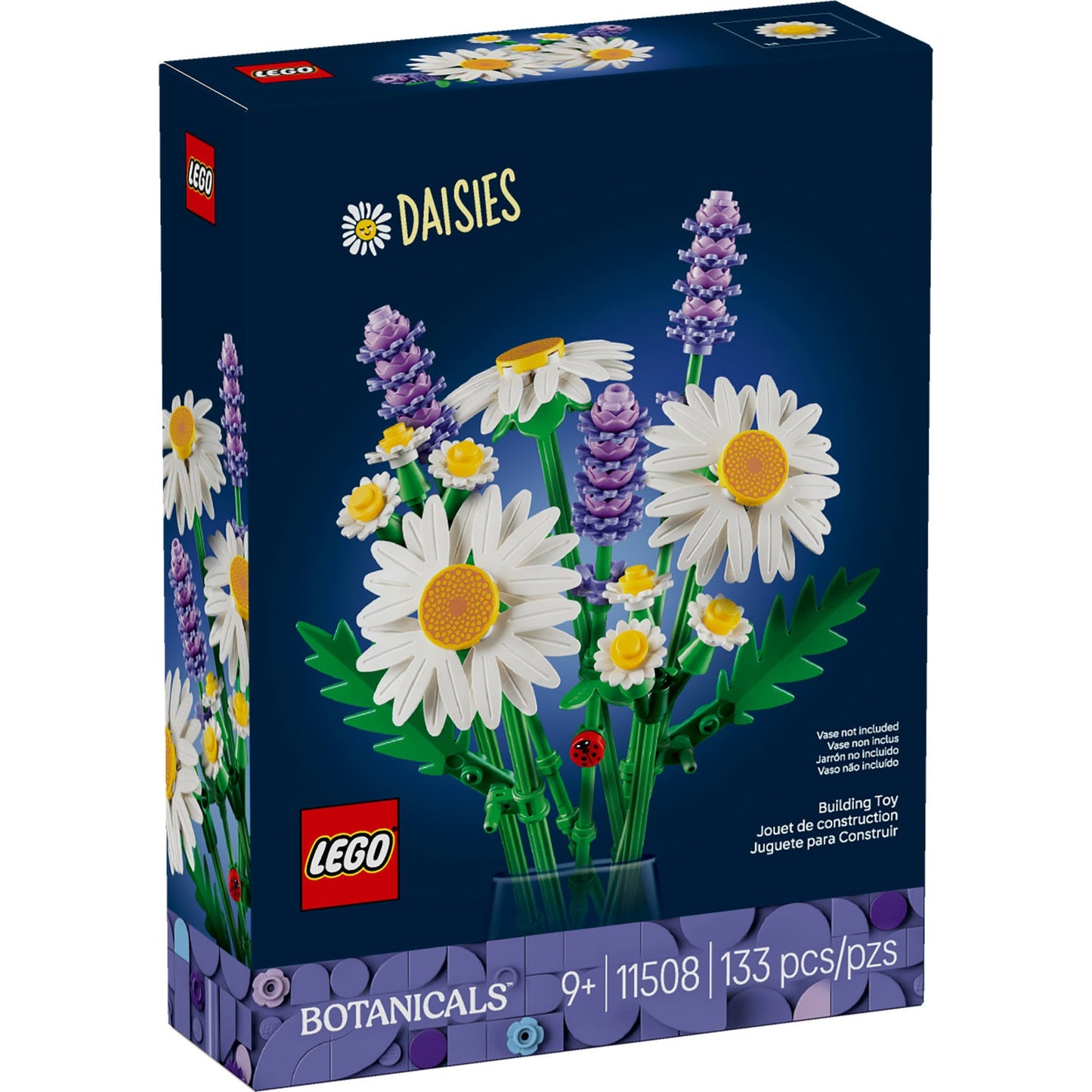 11508 Daisies
