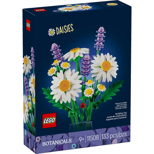 11508 Daisies