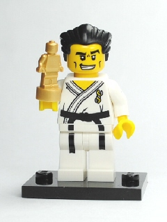 Karate Master - Series 2 Collectible Minifigure (col2-14)