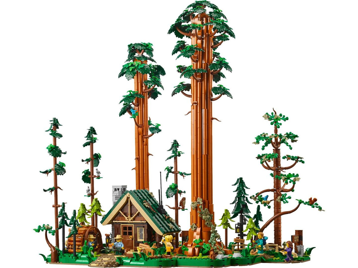 910058 Sequoia Tree Trail (Certified) LEGO BrickLink