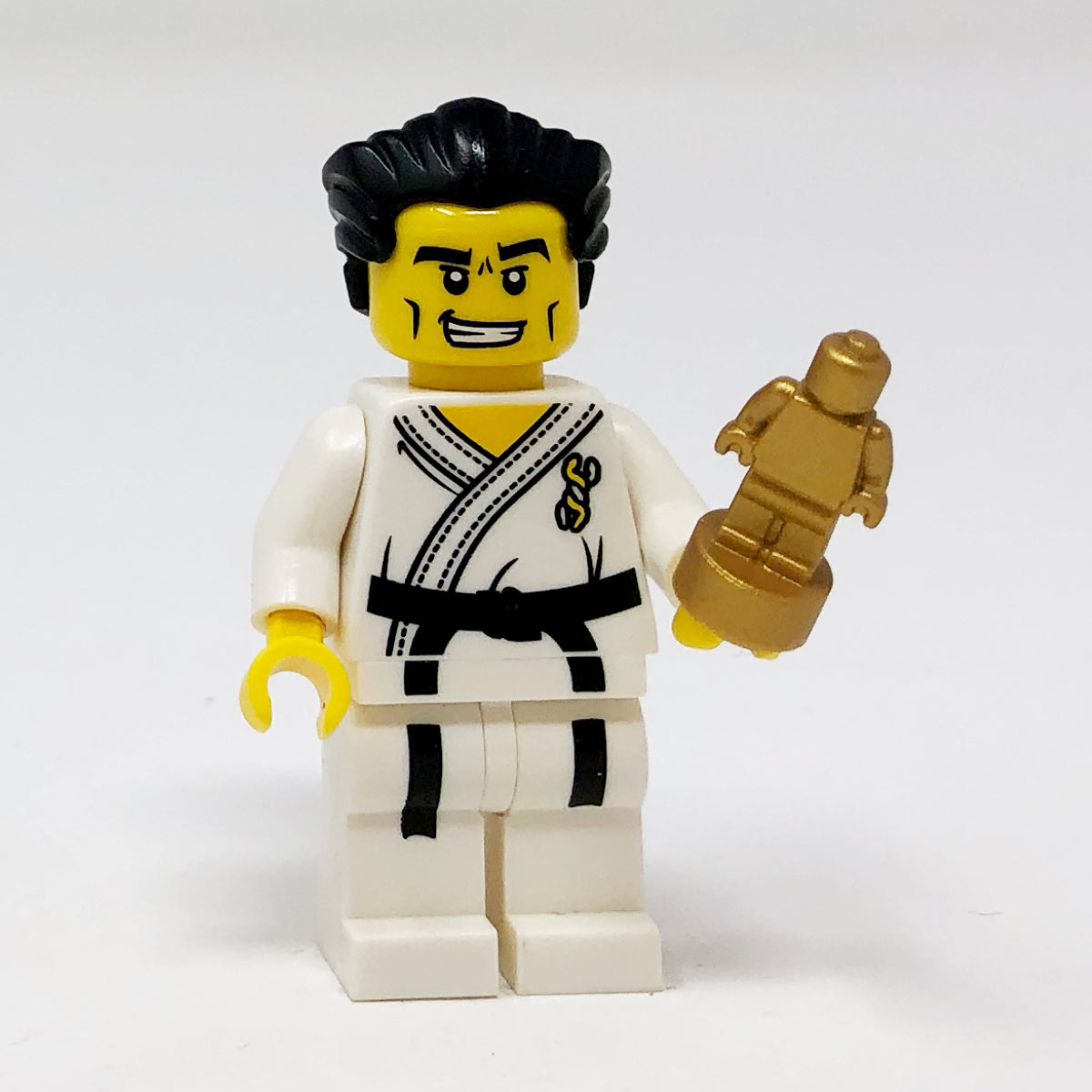 S2 Karate Master - Series 2 Minifigure (col030)