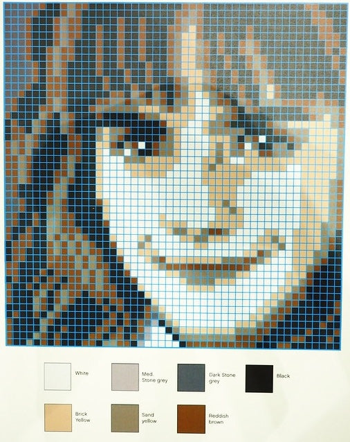6268522 Hermione Granger Mosaic (Used) LEGO Harry Potter