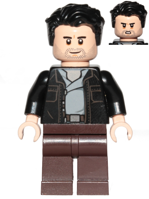 Captain Poe Dameron (sw0868)