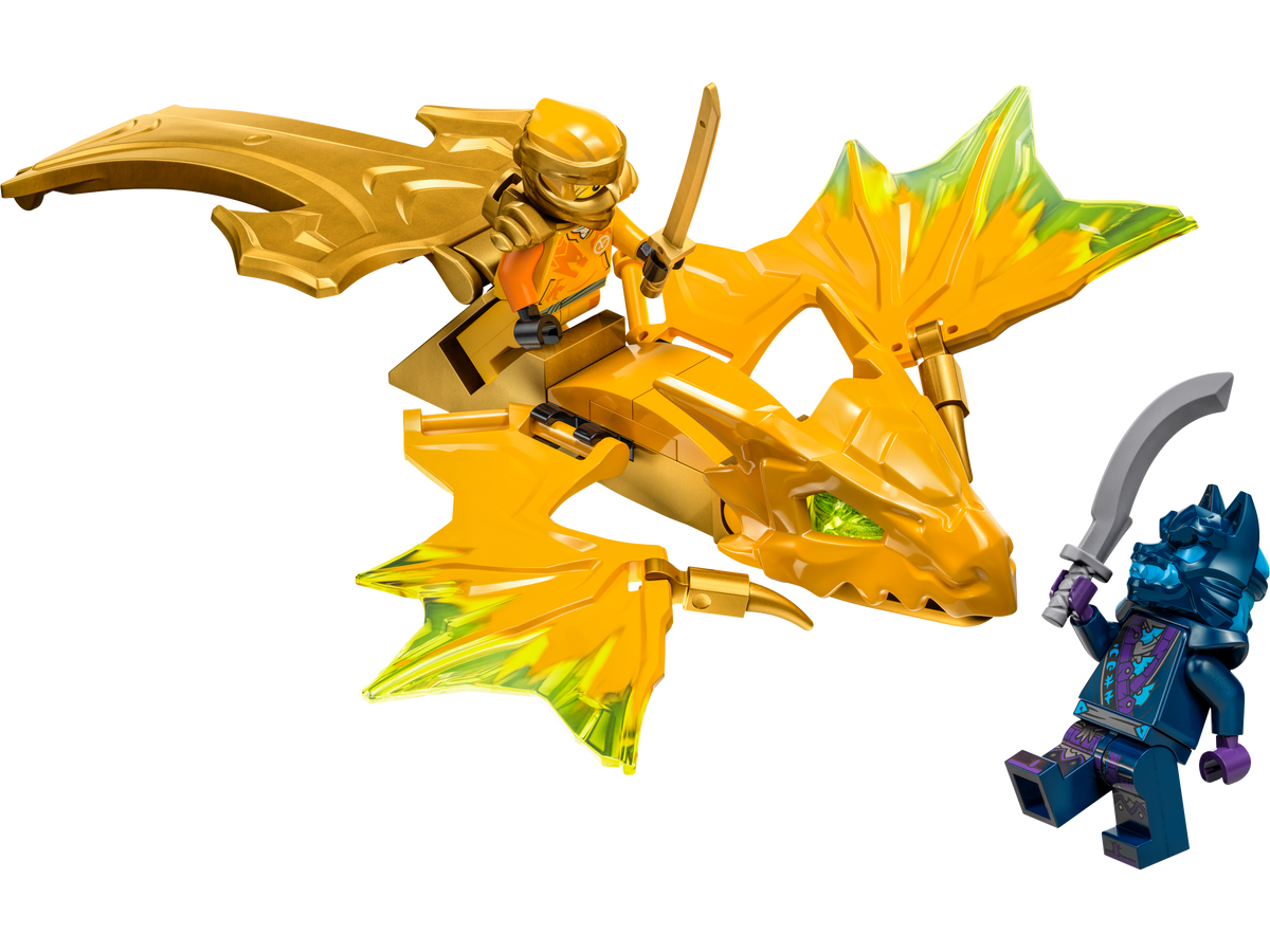 71803 Arin's Rising Dragon Strike (Used) LEGO Ninjago