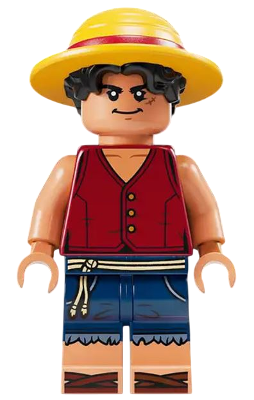 Monkey D. Luffy - Hair Combo, Straw Hat with Black Hair, Closed Mouth Grin (op016)