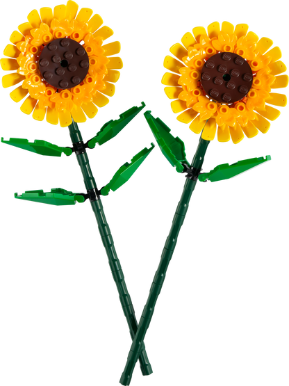 40524 Sunflowers