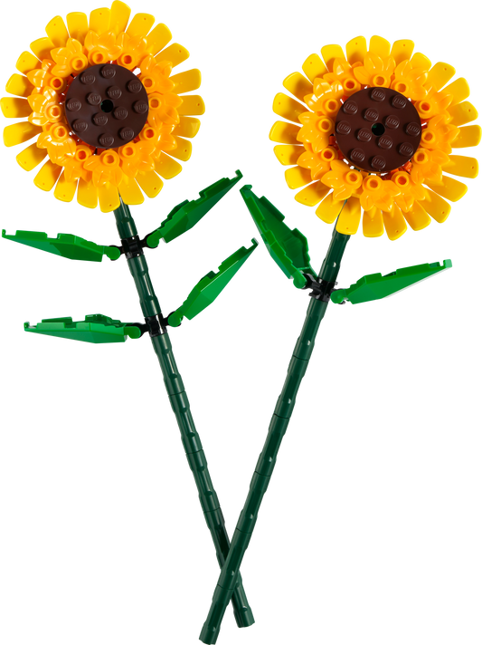 40524 Sunflowers
