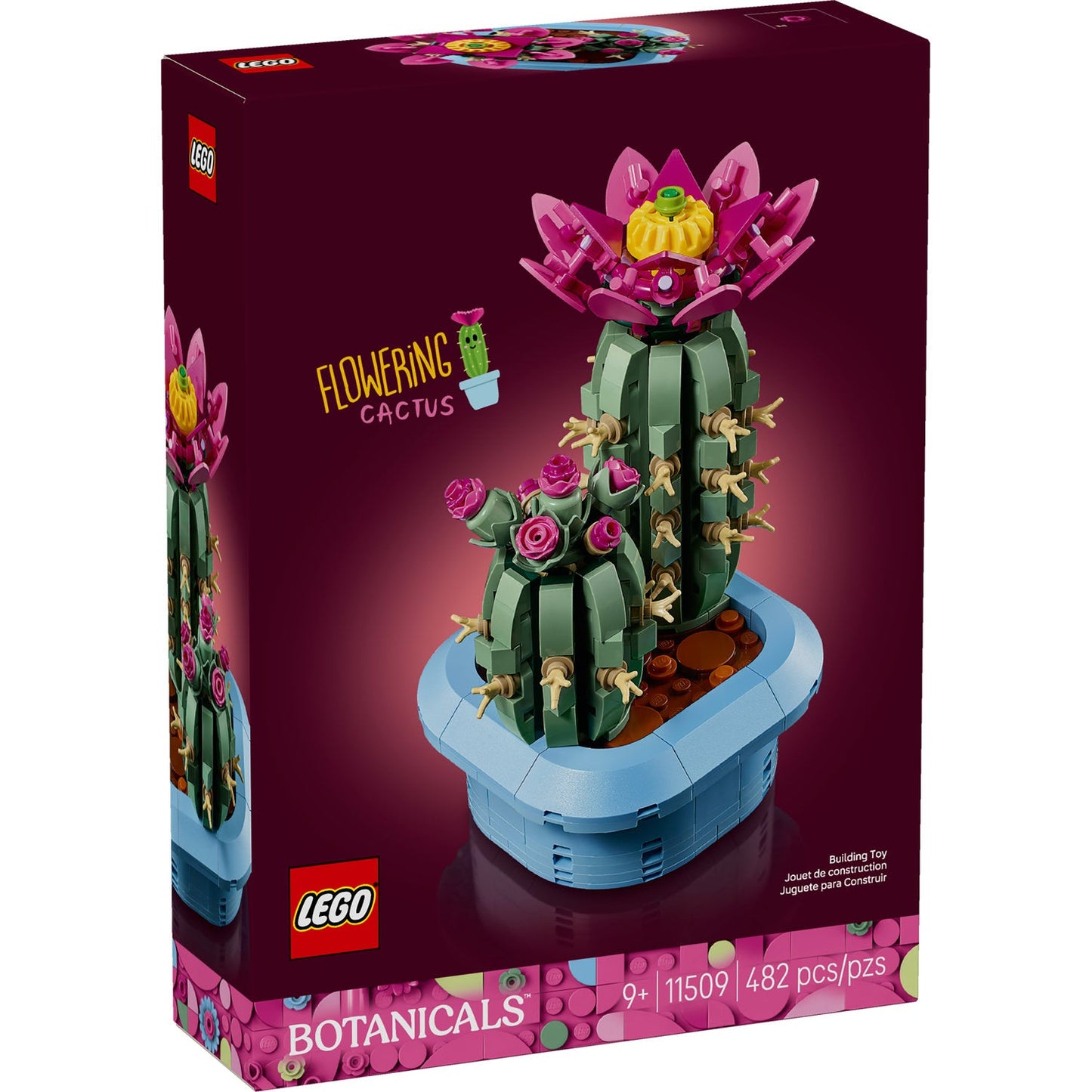 11509 Flowering Cactus
