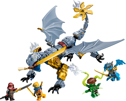 71855 Ninja Dragon Riyu's Battle (Retired) LEGO Ninjago