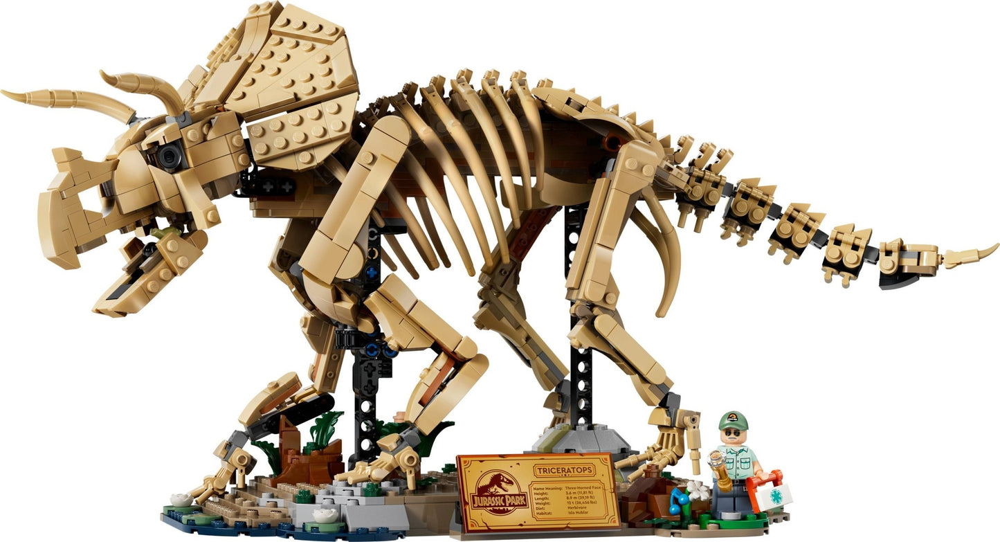 77985 Dinosaur Fossils: Triceratops