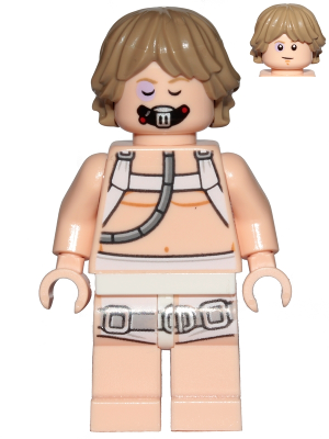 Luke Skywalker (sw0957)