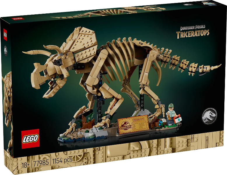 77985 Dinosaur Fossils: Triceratops