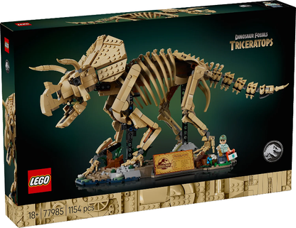 77985 Dinosaur Fossils: Triceratops