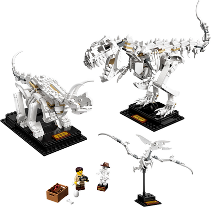 21320 Dinosaur Fossils (Retired) LEGO Ideas
