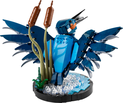 10331 Kingfisher Bird (Used) LEGO Icons