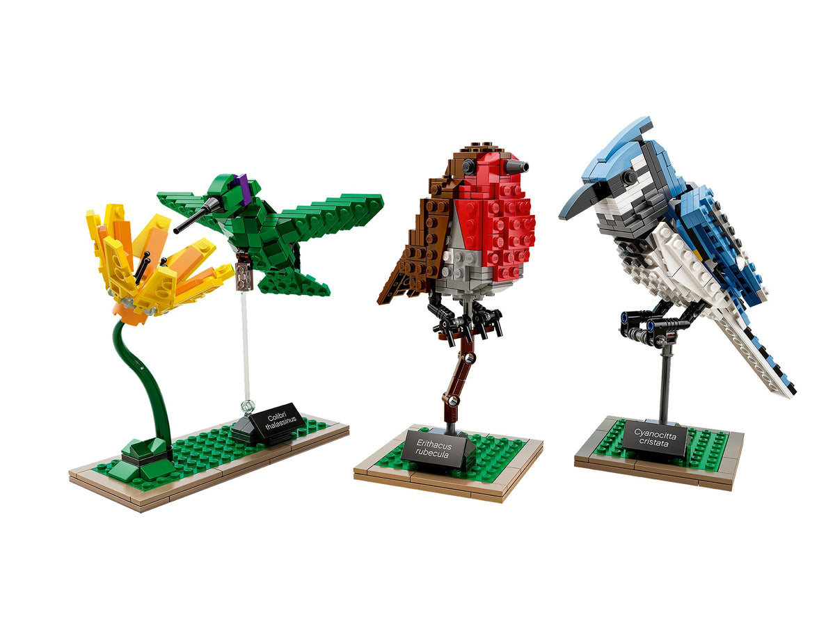 21301 Birds (Retired) LEGO Ideas