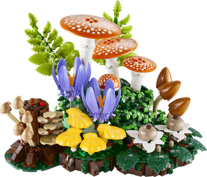 11505 Woodland Mushrooms