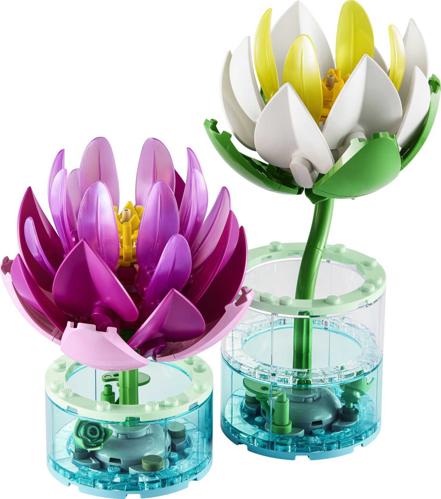 11511 Water Lilies