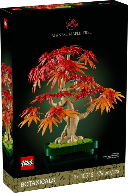 10348 Japanese Red Maple Bonsai Tree