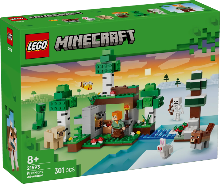 21593 First Night Adventure