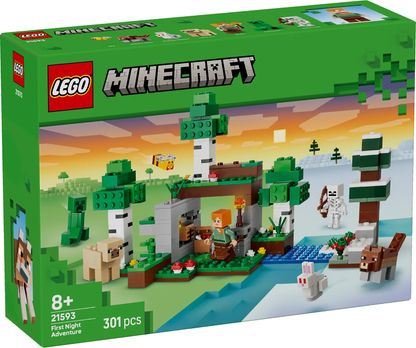 21593 First Night Adventure