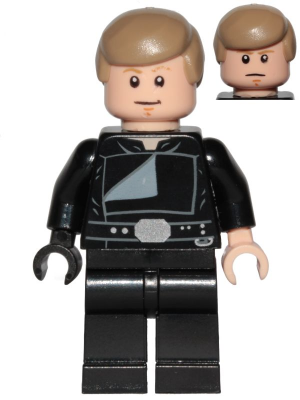 Luke Skywalker (Jedi Master, Endor, Dark Tan Hair, Stern / Smile) (sw0880)