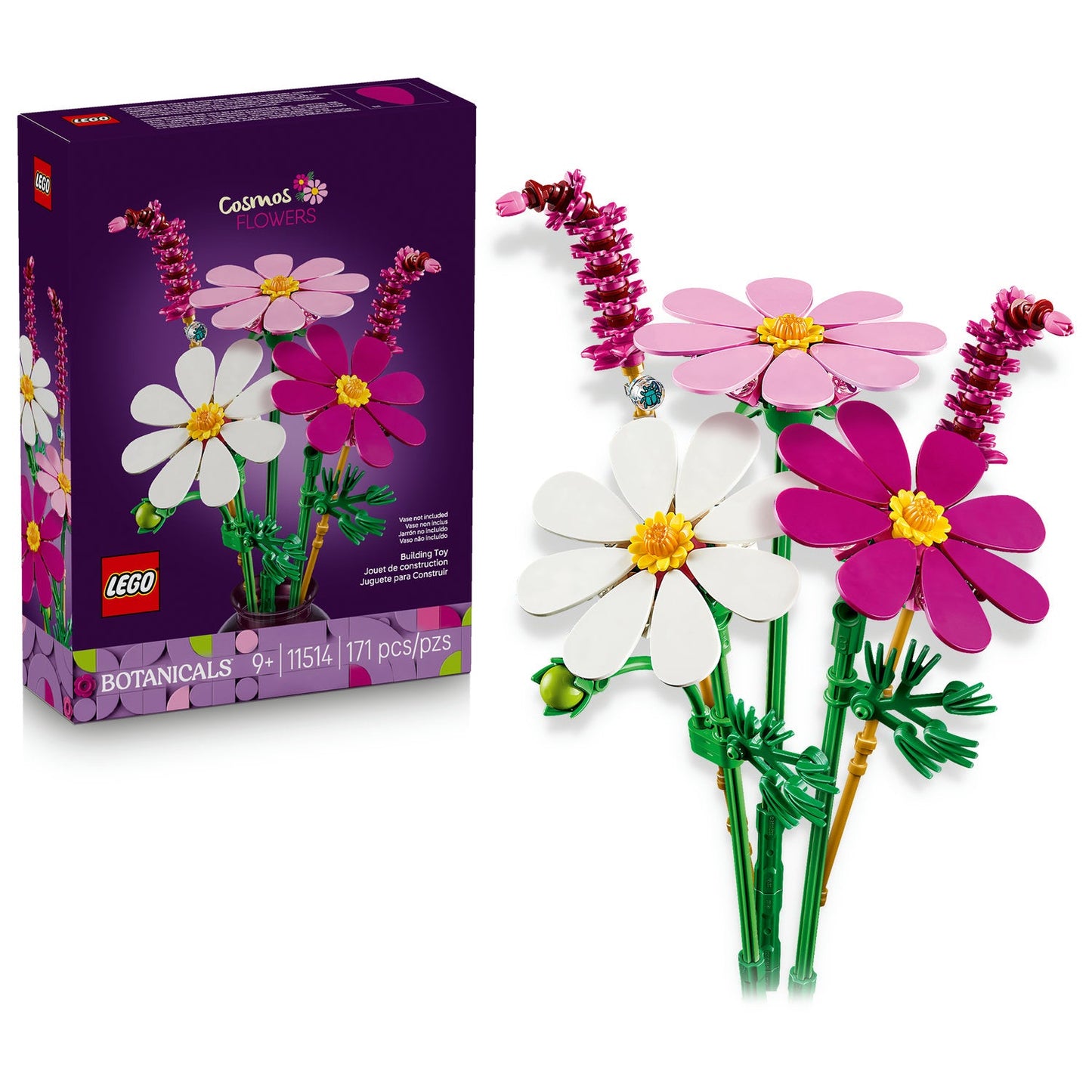 11514 Cosmos Flowers