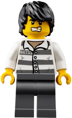 Mountain Police - Jail Prisoner 86753 Prison Stripes, Black Tousled Hair (cty0833)