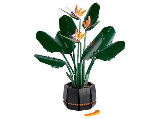 10289 Bird of Paradise (Used) LEGO Botanicals