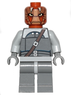 Nikto Guard (sw0496)