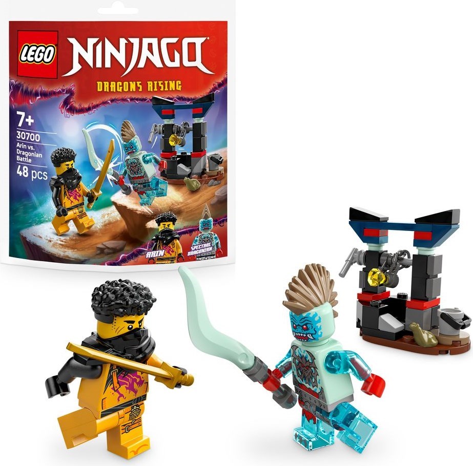 30700 Arin vs. Dragonian Battle (Retired) LEGO Ninjago
